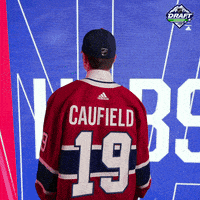 每日GIF(2021-05-30)的gif-ice hockey sport GIF by NHL