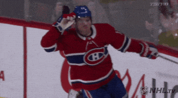 每日GIF(2021-05-30)的gif-happy ice hockey GIF by NHL
