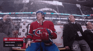 每日GIF(2021-05-30)的gif-ice hockey facepalm GIF by NHL