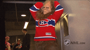 每日GIF(2021-05-30)的gif-Ice Hockey GIF by NHL