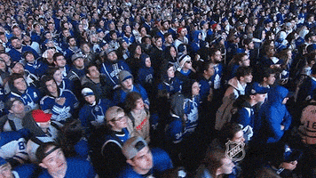 每日GIF(2021-05-30)的gif-toronto maple leafs crowd GIF by NHL