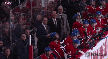 每日GIF(2021-05-30)的gif-happy ice hockey GIF by NHL
