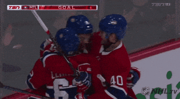 每日GIF(2021-05-30)的gif-happy ice hockey GIF by NHL