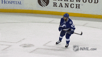 每日GIF(2021-05-31)的gif-Ice Hockey GIF by NHL
