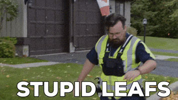 每日GIF(2021-06-01)的gif-Angry Maple Leafs GIF by StittsvilleOnPatrol