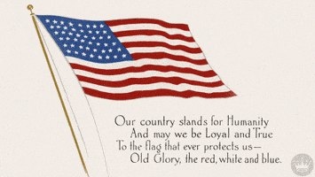 每日GIF(2021-06-01)的gif-Independence Day Vintage GIF by Hallmark Gold Crown