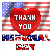 每日GIF(2021-06-01)的gif-Memorial Day Usa GIF