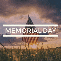 每日GIF(2021-06-01)的gif-Memorial Day Usa GIF