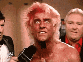 每日GIF(2021-06-01)的gif-Excited Ric Flair GIF