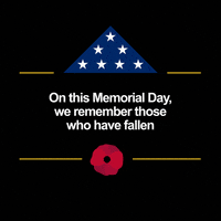 每日GIF(2021-06-01)的gif-Memorial Day Asu GIF by Arizona State University