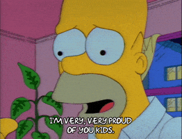 每日GIF(2021-06-02)的gif-Season 3 Crying GIF by The Simpsons
