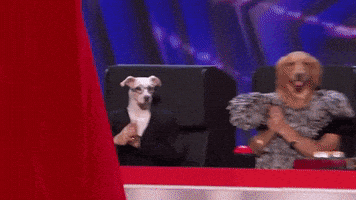 每日GIF(2021-06-04)的gif-Americas Got Talent Reaction GIF by Top Talent