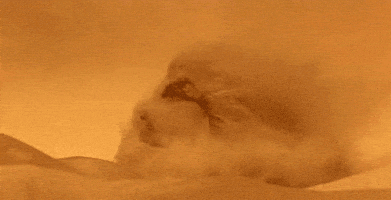 每日GIF(2021-06-08)的gif-blowing sand GIF