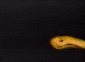 每日GIF(2021-06-08)的gif-Found Footage Rainbow GIF
