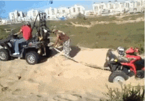每日GIF(2021-06-08)的gif-blowing sand GIF