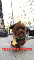 每日GIF(2021-06-09)的gif-New York Running GIF