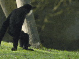 每日GIF(2021-06-09)的gif-I Love You Reaction GIF by Demic