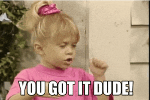 每日GIF(2021-06-10)的gif-Full House Ok GIF