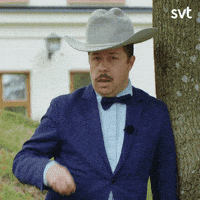 每日GIF(2021-06-10)的gif-How You Doin Hello GIF by SVT