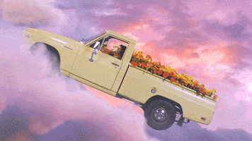 每日GIF(2021-06-12)的gif-Summer Flowers GIF by Tkay Maidza