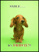 每日GIF(2021-06-12)的gif-friday GIF
