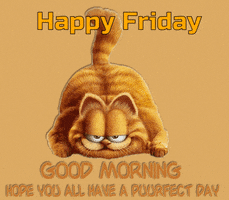 每日GIF(2021-06-12)的gif-friday pictures GIF