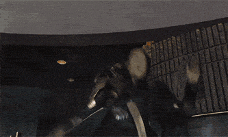 每日GIF(2021-06-13)的gif-the avengers fighting GIF by hoppip