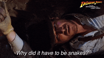 每日GIF(2021-06-14)的gif-GIF by Indiana Jones