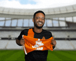 每日GIF(2021-06-14)的gif-Celebrate Euro 2020 GIF by Jake Martella