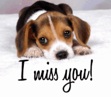 每日GIF(2021-06-14)的gif-Miss You GIF by MOODMAN