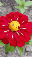 每日GIF(2021-06-15)的gif-I Love You Smile GIF by memecandy