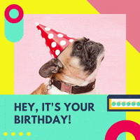 每日GIF(2021-06-16)的gif-Happy Birthday Dog GIF by Five