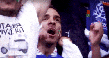 每日GIF(2021-06-17)的gif-Euro 2012 Football GIF by UEFA