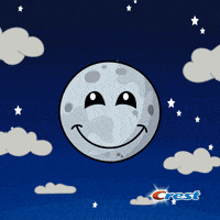每日GIF(2021-06-19)的gif-Good Morning Smile GIF by Crest