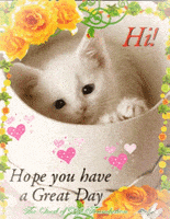 每日GIF(2021-06-19)的gif-Cat Kitty GIF by The Seed of Life Foundation