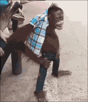 每日GIF(2021-06-20)的gif-anything waiting GIF