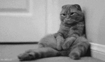 每日GIF(2021-06-22)的gif-Christmas Eve Waiting GIF