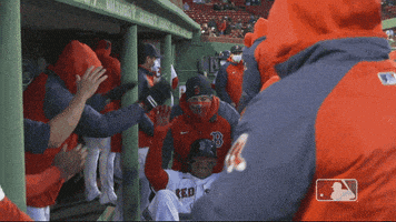 每日GIF(2021-06-22)的gif-Red Sox Celebration GIF by MLB