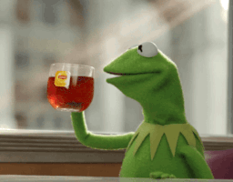 每日GIF(2021-06-22)的gif-Press Conference Kermit GIF