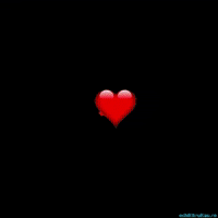 每日GIF(2021-06-22)的gif-Thank U GIF by echilibrultau