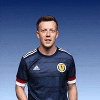 每日GIF(2021-06-23)的gif-Euro 2020 GIF by UEFA