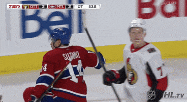 每日GIF(2021-06-25)的gif-Celebrate Ice Hockey GIF by NHL