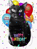 每日GIF(2021-06-27)的gif-Happy Birthday Cat GIF
