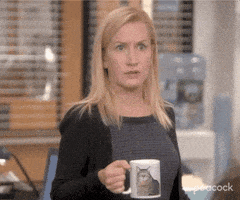 每日GIF(2021-06-29)的gif-Season 9 Omg GIF by The Office