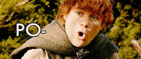每日GIF(2021-06-29)的gif-lord of the rings hobbit GIF