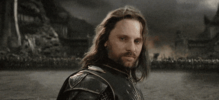 每日GIF(2021-06-29)的gif-Lord Of The Rings Yolo GIF