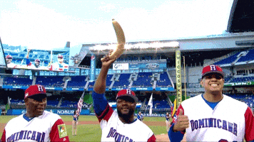 每日GIF(2021-06-30)的gif-Dominican Republic Dr GIF by MLB