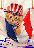 每日GIF(2021-07-03)的gif-Independence Day Usa GIF