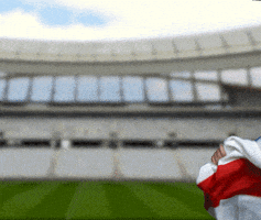每日GIF(2021-07-04)的gif-Celebrate Euro 2020 GIF by Jake Martella