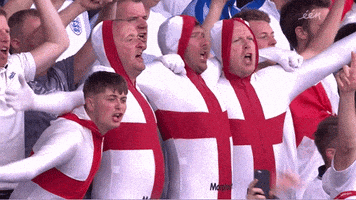 每日GIF(2021-07-04)的gif-Euro 2016 England GIF by Sporza